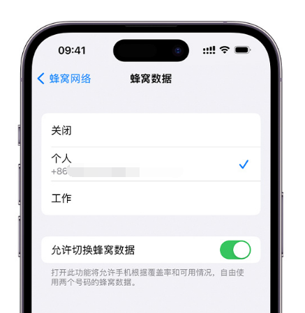 江永苹果维修服务分享如何在iPhone上使用双卡 